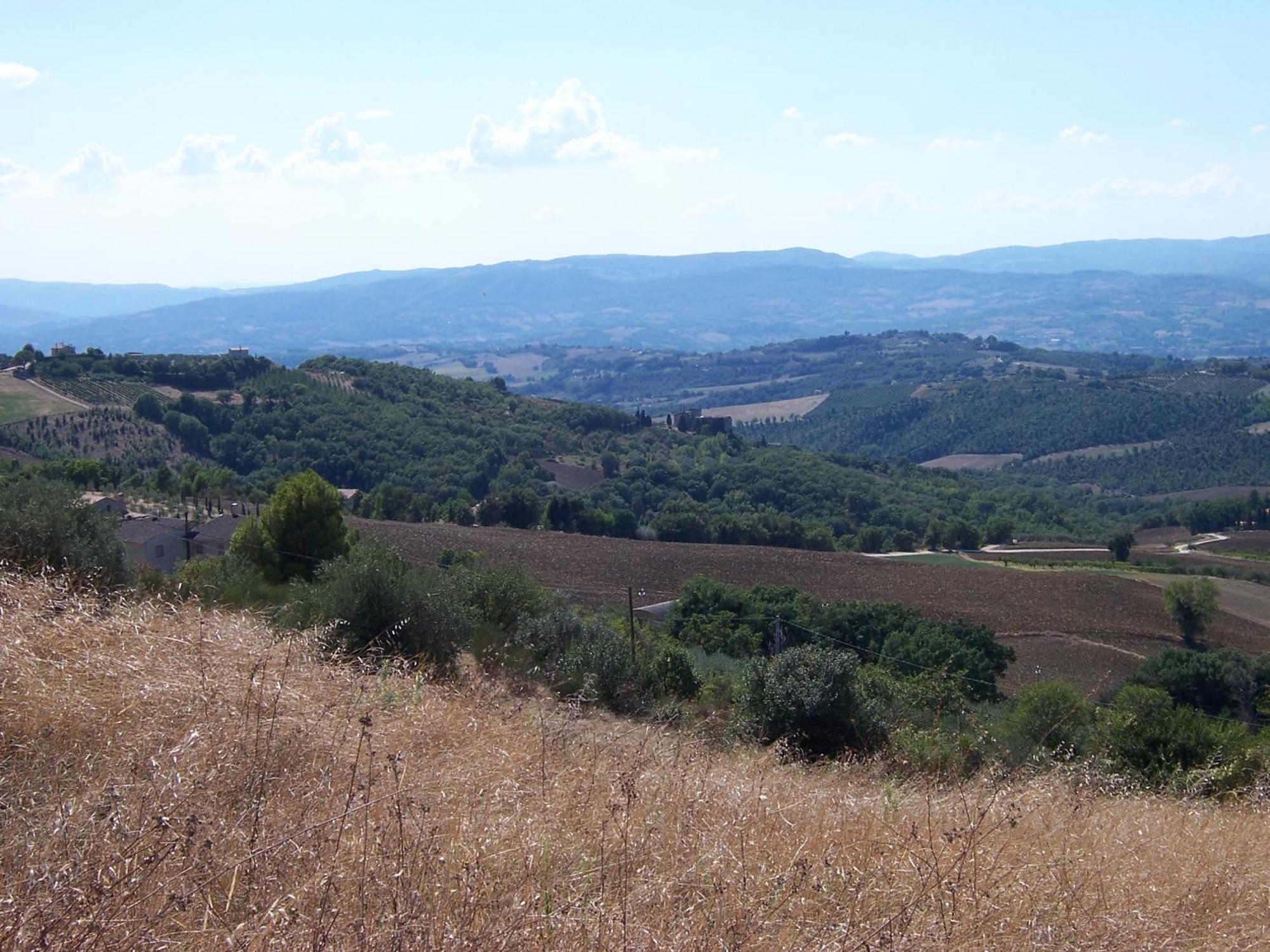 Agriturismo La Casella Villa San Terenziano Екстериор снимка